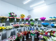 Магазин цветов на Дмитровском шоссе Фото 9 на сайте Hovrino.info