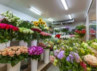Магазин цветов Makofflow Фото 8 на сайте Hovrino.info