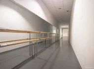 Театр танца Аси Шиловой «Ассоль» Фото 12 на сайте Hovrino.info