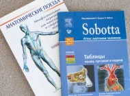 Студия здоровья Антона Красильникова Фото 2 на сайте Hovrino.info