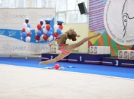 Детская спортивная школа по художественной гимнастике и спортивной акробатике FD на улице Авангардная Фото 5 на сайте Hovrino.info
