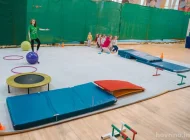 Детская спортивная школа по художественной гимнастике и спортивной акробатике FD на улице Авангардная Фото 6 на сайте Hovrino.info