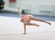 Детская спортивная школа по художественной гимнастике и спортивной акробатике FD на улице Авангардная Фото 15 на сайте Hovrino.info