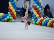 Детская спортивная школа по художественной гимнастике и спортивной акробатике FD на улице Авангардная Фото 17 на сайте Hovrino.info