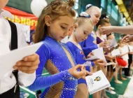 Детская спортивная школа по художественной гимнастике и спортивной акробатике FD на улице Авангардная Фото 4 на сайте Hovrino.info