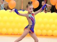 Детская спортивная школа по художественной гимнастике и спортивной акробатике FD на улице Авангардная Фото 9 на сайте Hovrino.info
