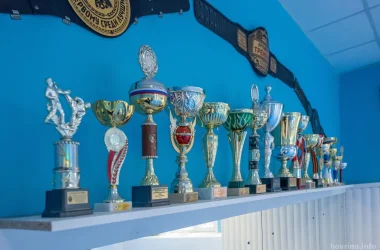 Центр единоборств Ягуар Фото 2 на сайте Hovrino.info