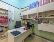 Ветеринарная клиника Манол на Онежской улице Фото 2 на сайте Hovrino.info