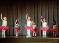 Школа танцев Dance&beauty Фото 1 на сайте Hovrino.info