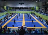 Клуб бразильского джиу-джитсу Titan BJJ на Петрозаводской улице Фото 4 на сайте Hovrino.info